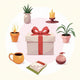 best gifts for mom birthday: Thoughtful Picks She'll Love