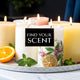 Candle Fragrance Families: Discover Your Perfect Scent - Shivora Candles