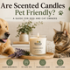 Are Scented Candles Safe for Pets? A Complete Guide for Pet Owners