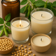 Why Canadians are switching to cleaner, healthier, longer-lasting soy candles.