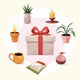 The Best Birthday Gifts for Mom: A Complete Canadian Gift Guide