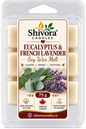 Eucalyptus and French Lavender soy wax melt 75 g six-cube clamshell, hand-poured in Ontario, Canada
